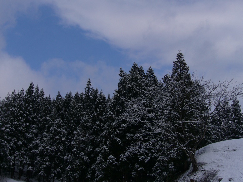c0198781_23070.jpg