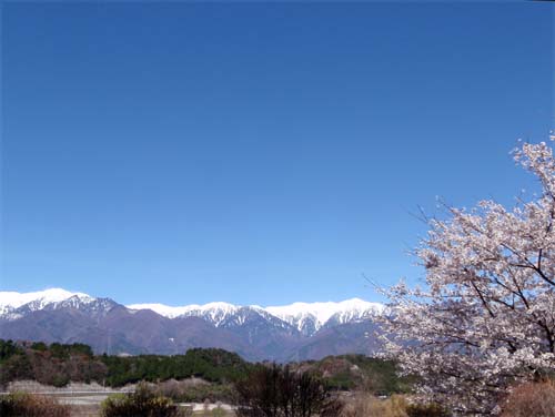 春の雪_a0224382_131827.jpg