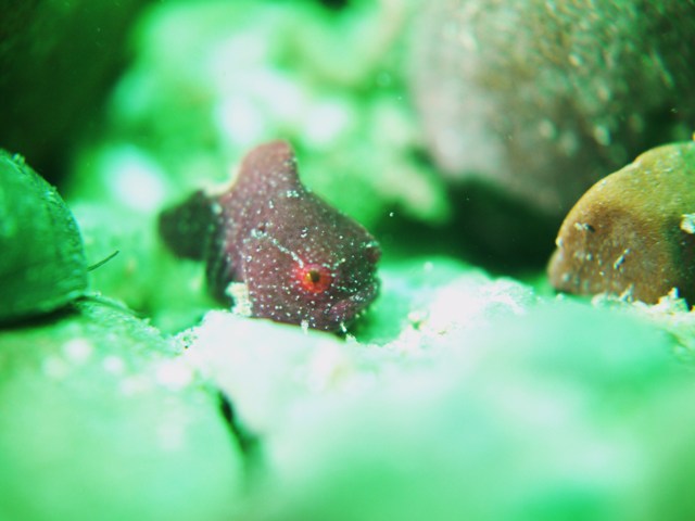f0151886_15433653.jpg
