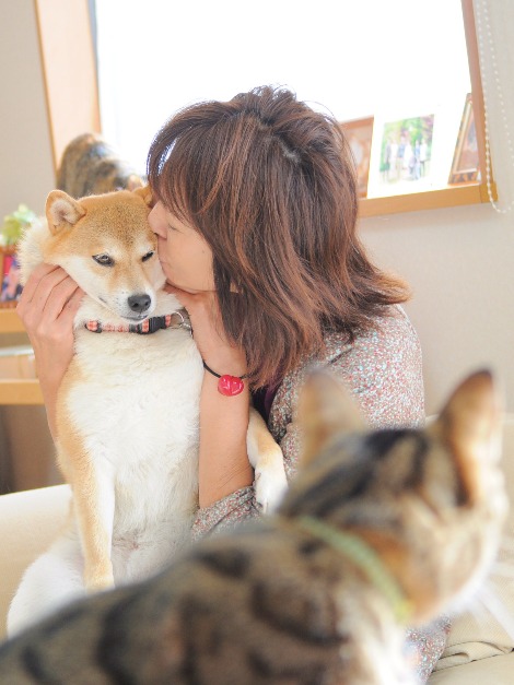 犬の遺言 かぼすちゃんとおさんぽ