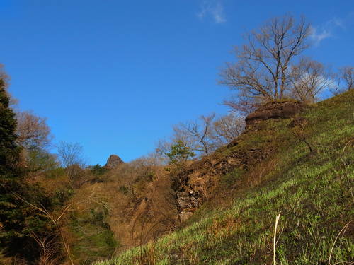 a0214490_2001160.jpg