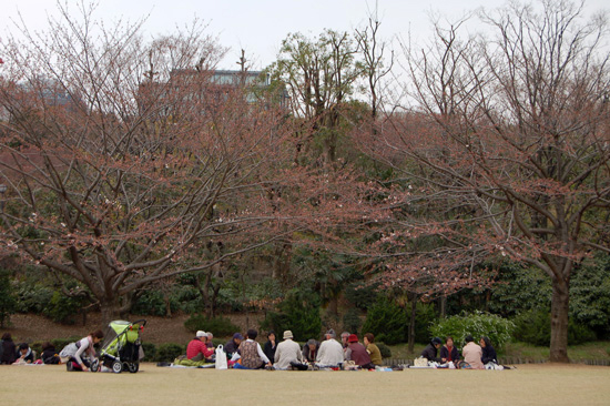 寒空の下のお花見_d0024291_0301429.jpg