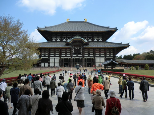 春の奈良公園　世界遺産の旅　興福寺_f0117892_7532593.jpg