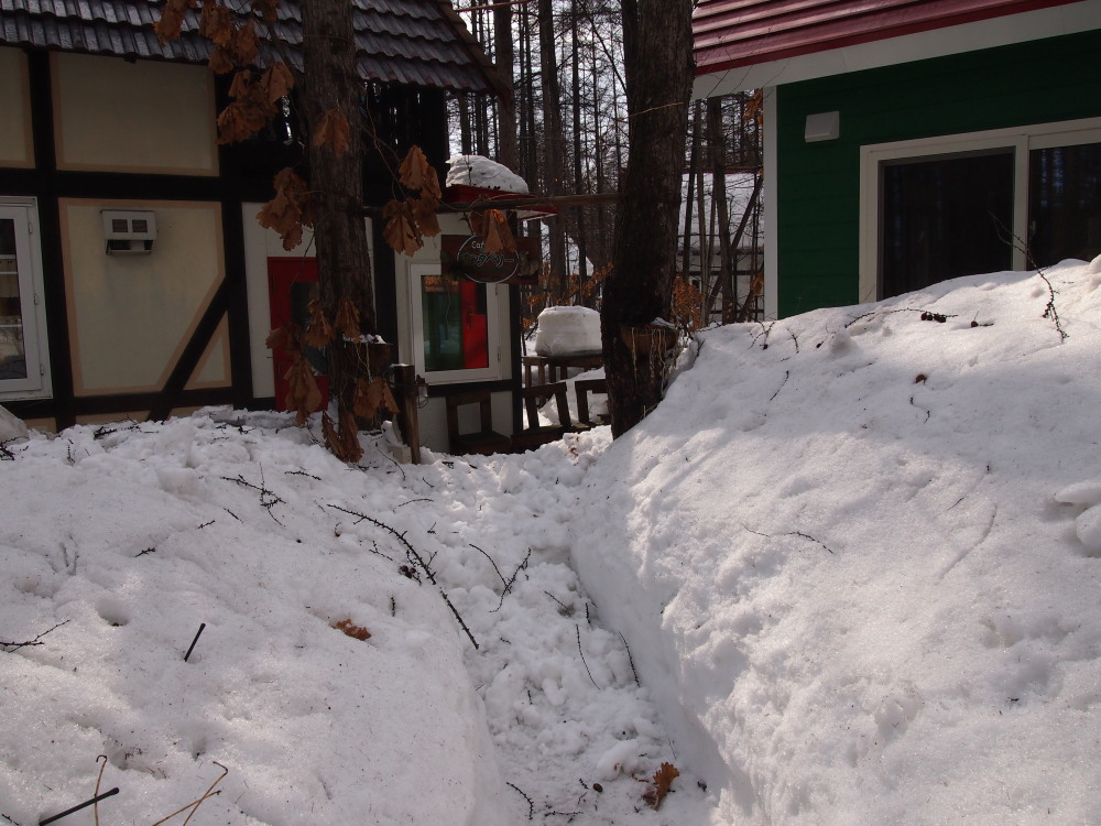 今日の春を思わせる陽気で‥やっと落ちた屋根の雪!_f0276498_20322468.jpg