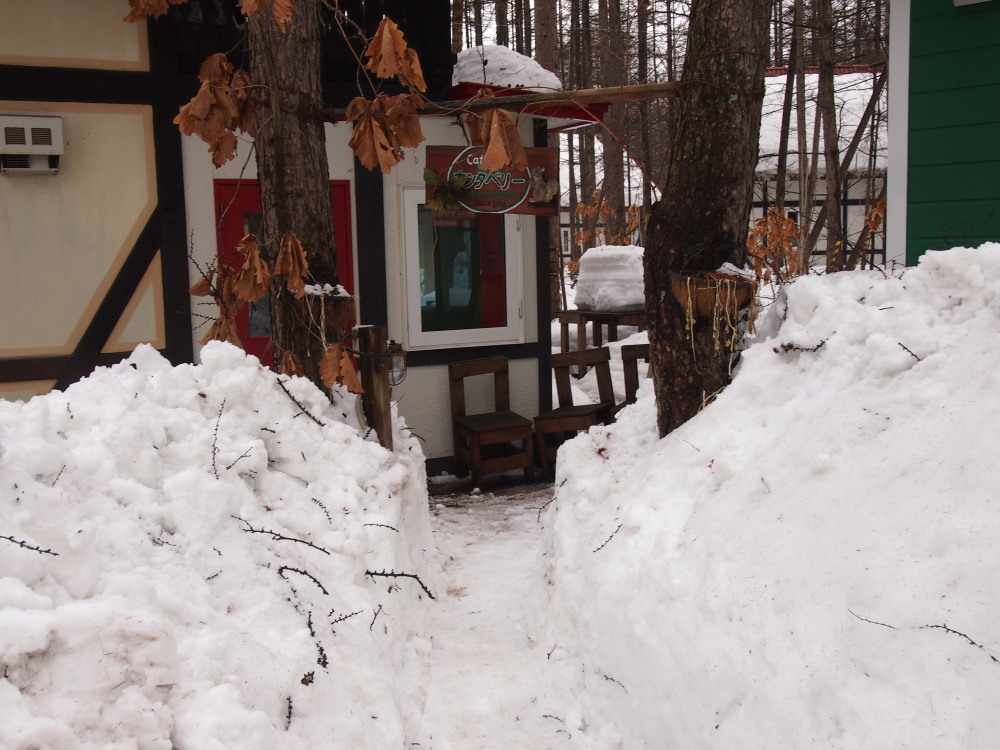 今日の春を思わせる陽気で‥やっと落ちた屋根の雪!_f0276498_2033817.jpg