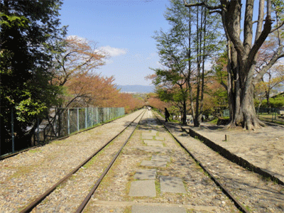 b0108100_950234.gif