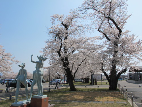 花桃の公園（福島市飯坂町）の桜と花桃（２）：２０１３．４．１４_c0075701_21455546.jpg