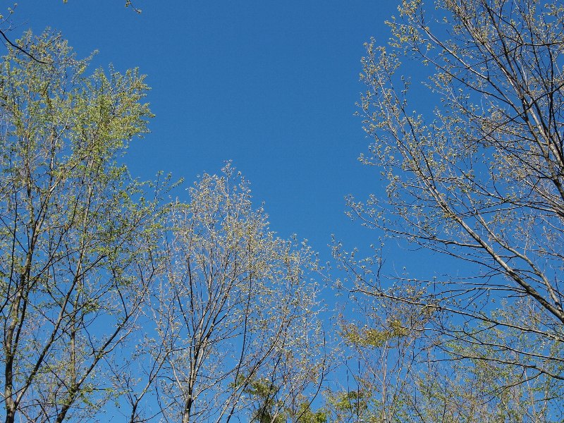b0231705_19273489.jpg