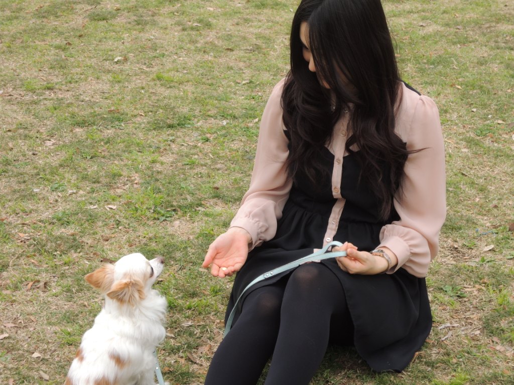 市道真央さん 撮影レポート 朗読劇 しっぽのなかまたち 市道真央さん 撮影レポート 朗読劇 しっぽのなかまたち