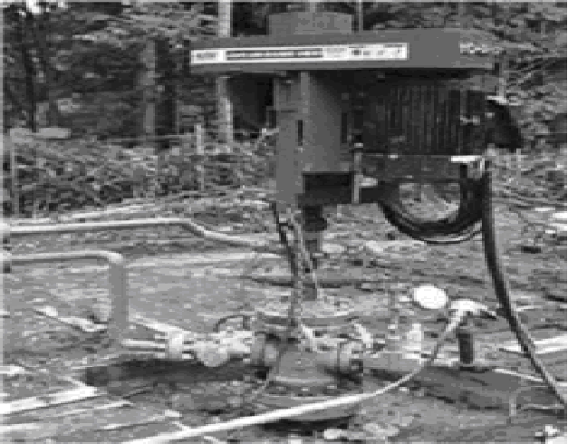 d0119909_184335100.png