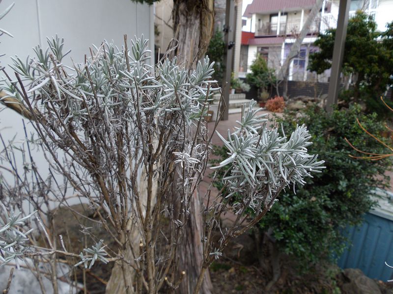 c0025115_2249939.jpg