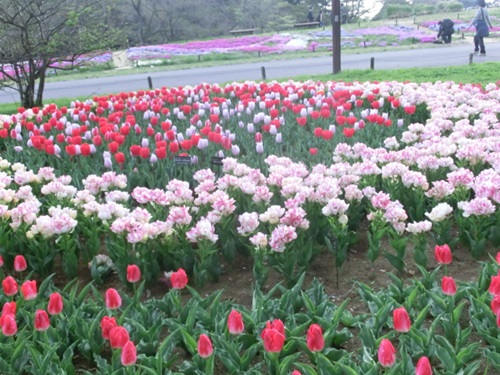c0200916_09234.jpg