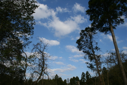 今週の空と雲（２０１３年４月１３日）_a0216817_17535883.jpg