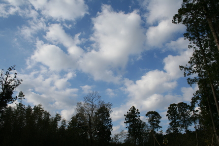 今週の空と雲（２０１３年４月１３日）_a0216817_17543689.jpg