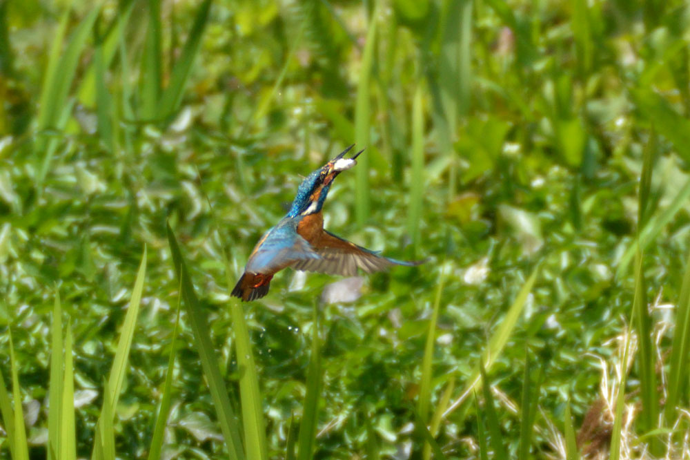 c0020423_202358.jpg