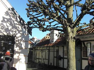 b0144125_21542142.jpg