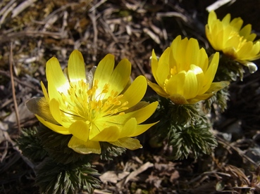 c0204725_2247519.jpg
