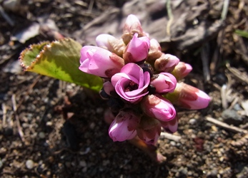 c0204725_2251430.jpg