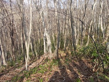 c0204725_22525888.jpg