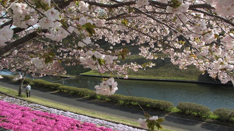 2013.04.13　静峰公園とカフェバール・エポック_e0202031_23583573.jpg