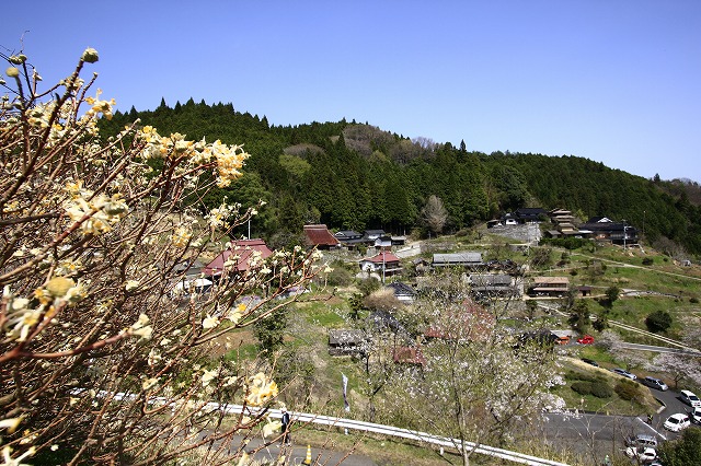 a0045932_12201053.jpg