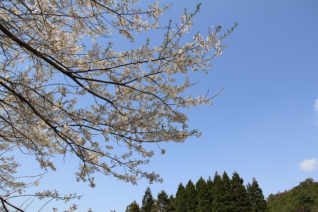 a0045932_12581925.jpg