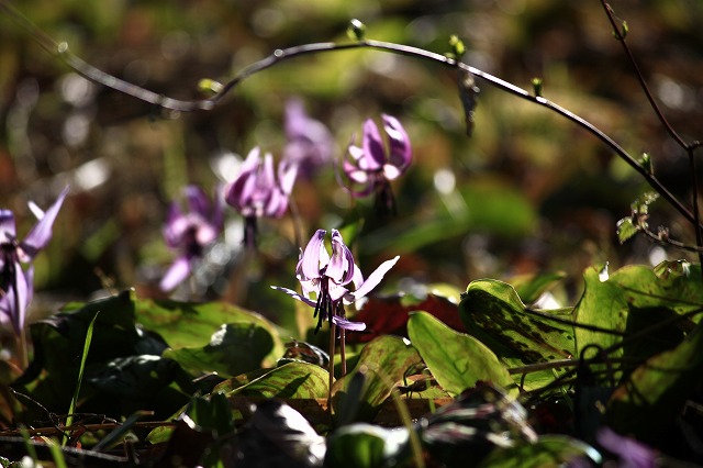 a0045932_16155717.jpg