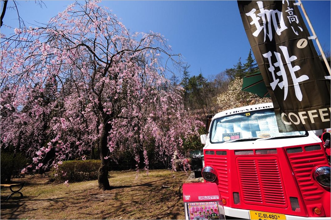 ■■ Sakura 2013 　　ぷち総集編_c0152332_174663.jpg