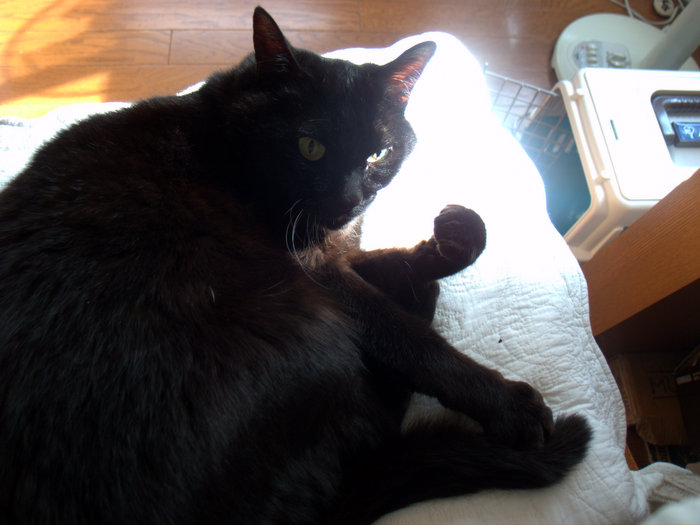 c0133533_06779.jpg