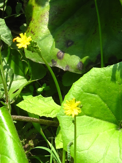 c0239833_32570.jpg