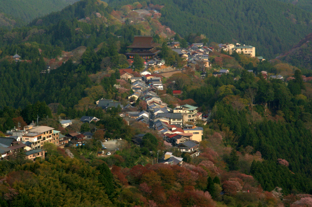 吉野山　三多気_d0052340_21424665.jpg