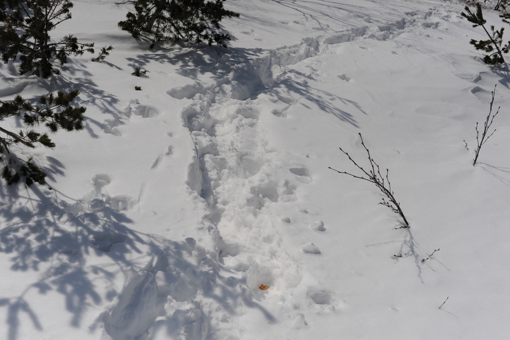b0233441_17205539.jpg