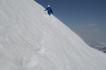 お山の観察会#2 頂上編_b0207642_1838416.jpg