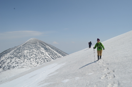 お山の観察会#2 頂上編_b0207642_18474587.jpg