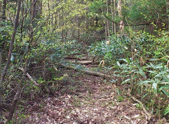 e0291042_1925771.jpg