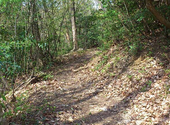 e0291042_1939255.jpg