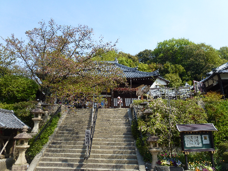 2013/4/14　四条畷　飯盛山ハイク_b0217643_1834992.jpg