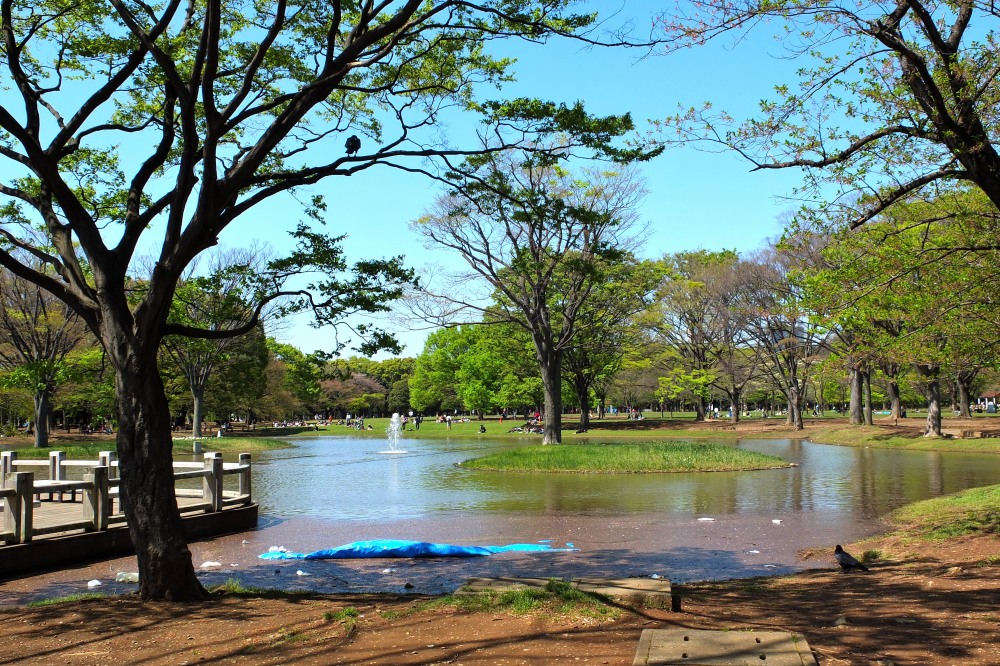 新緑の季節　代々木公園にて_c0236843_19114377.jpg