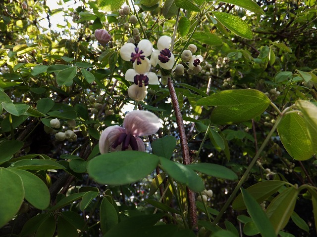 d0048350_195933100.jpg