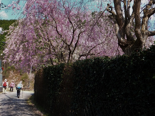 d0048350_20192363.jpg