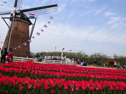 d0159155_21446.jpg