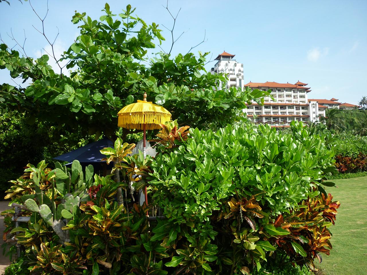 e0198455_1472017.jpg
