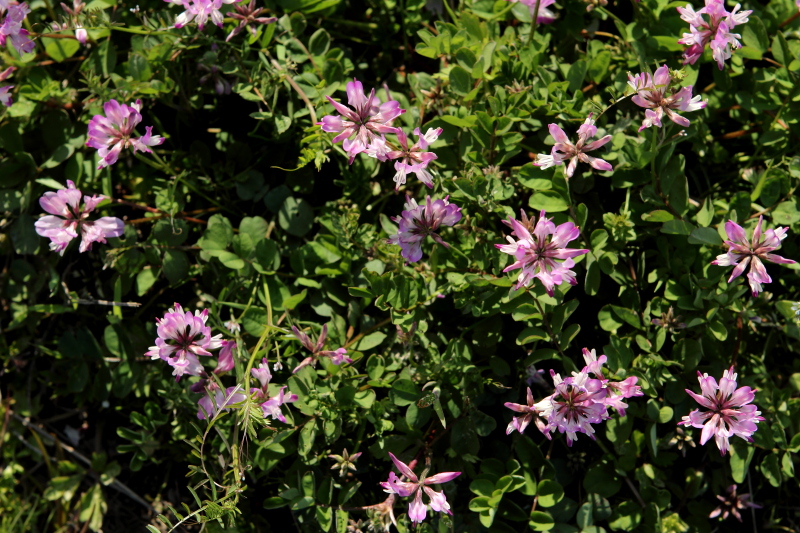 c0272958_18174710.jpg