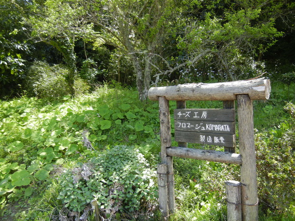 ’13,4,14(日)チーズ工房、フロマージュ駒形!_f0060461_103333100.jpg