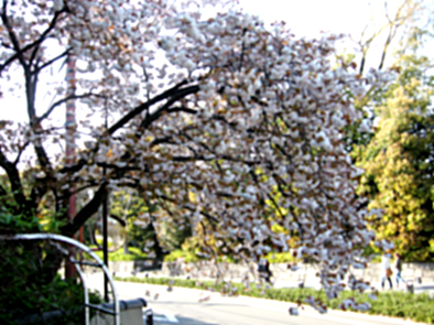 b0153663_19173870.jpg