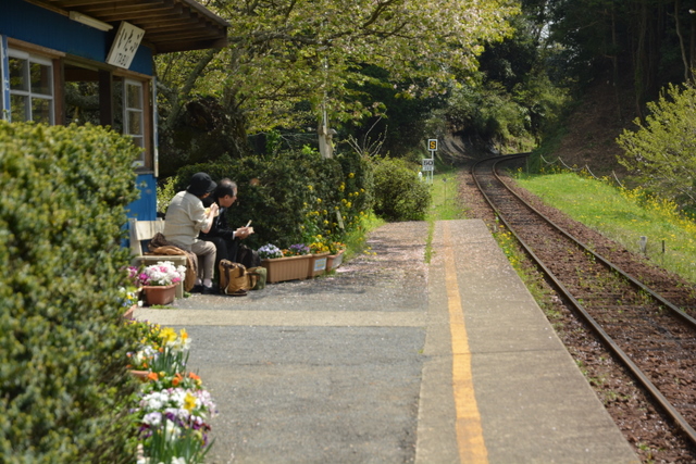 小湊鉄道（上総牛久駅・飯給駅）_a0212365_1633476.jpg