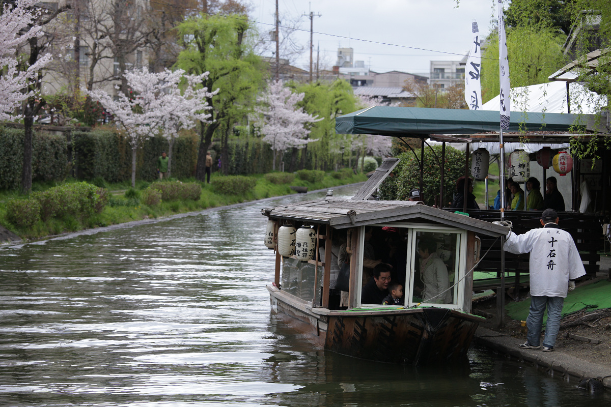 桜 2013 <京都　伏見> _f0021869_3474973.jpg