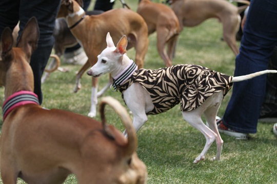 ＺＥＢＲＡでお誕生会（3・４・5月生まれ）_e0062371_1721868.jpg