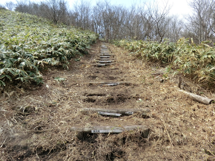 b0185573_88830.jpg