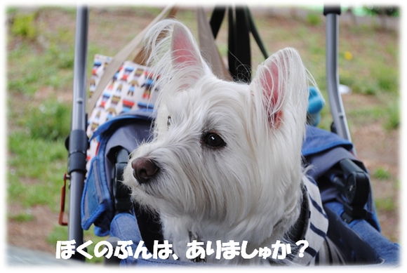 b0242873_051996.png